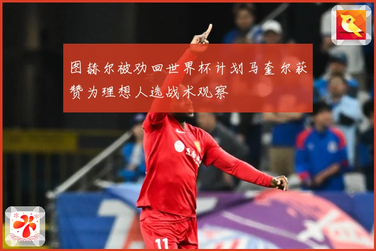图赫尔被劝回世界杯计划马奎尔获赞为理想人选战术观察